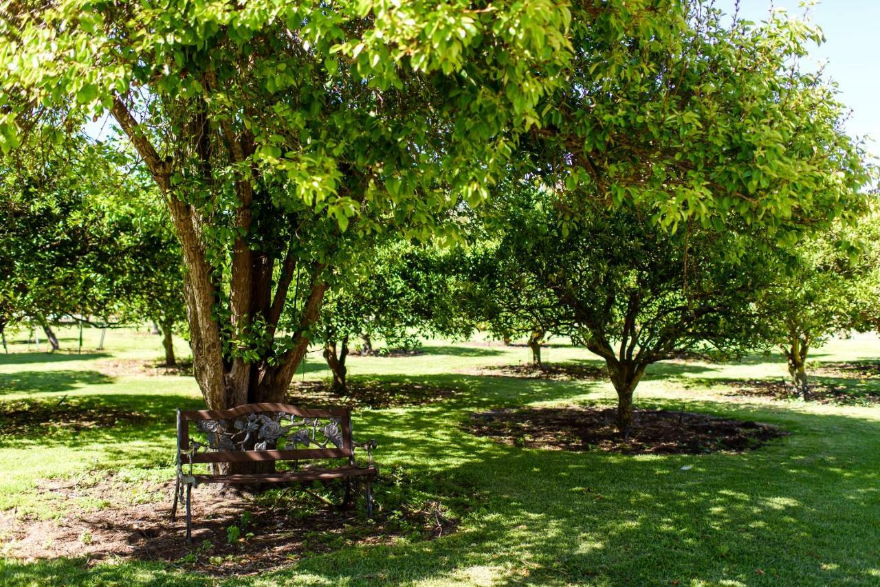 Fairlawn Estate Pension Busselton Buitenkant foto