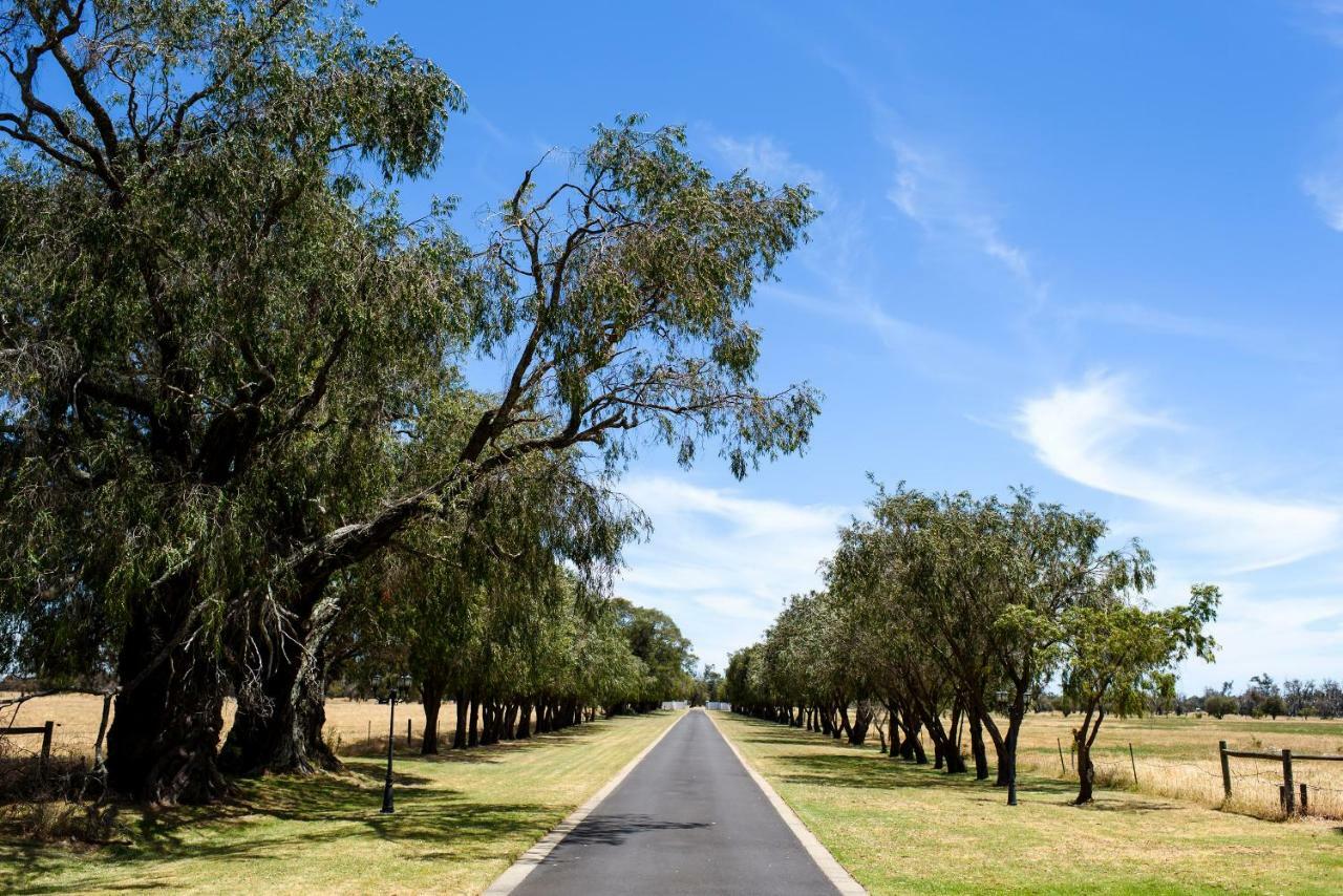 Fairlawn Estate Pension Busselton Buitenkant foto